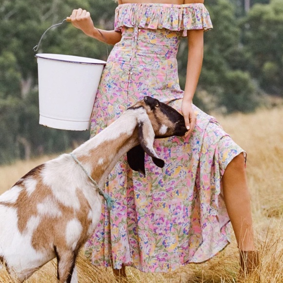 ❣️MOVING SALE ❣️Spell Dolly Off the Shoulder Gown - Picture 1 of 8